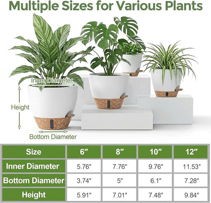 Plant Pots, 12" 10" 6" 8" Inch Self Watering Pots with Water Level Indicator, Set of 5 Flower Pots Indoor with Drainage Holes, Modern Planters for Indoor Outdoor Plants, Room & Office Décor
