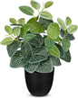 14.5" Artificial Plants Indoor Home Decor, Fake Potted Silk Plants for Shelves, Desks, Living Room, Home & Office Decor, Small Artificial Nerve Plant in Pots, Faux Potted Greenery Tropical House Plant