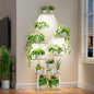 Plant Stand Indoor with Grow Lights - 62" Tall Plant Shelf, Lighted Corner Plant Stands for Indoor Growing, 8 Tiered Large Flower Holder, S-Shaped Plants Rack for Living Room, Patent Design, Natural