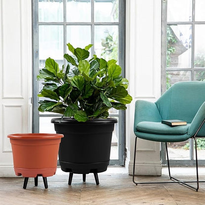 5 Pack 10.5 inch Plant Pots,Planter-Pots-for-Plants，Plastic Flower Pot for Indoor Outdoor Plants with Drainage Holes & Trays, Decorative Garden Containers Sets for Houseplants