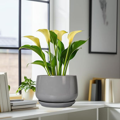 G EPGardening Ceramic Plant Pots - 9 Inch Modern Round Planter with Drainage and Plant Saucer for Indoor Outdoor Flower, Apartment Decor, Birthday Gifts, Grey