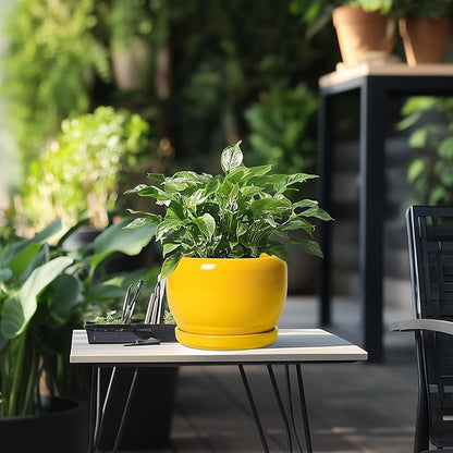 SQOWL Ceramic Plant Pot - 8 Inch Planter for Indoor Outdoor, Decorative Plant Pot with Drainage Hole and Saucer, Modern Round Planter for Flower, Desk Decor, Housewarming Gifts, Yellow