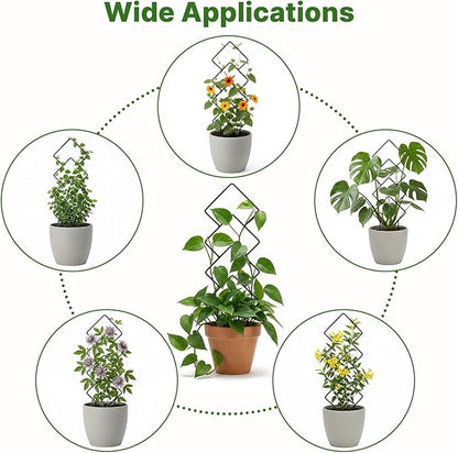 Indoor Trellis for Climbing Plants: 3PC Small Garden Metal Trellis for Vine Ivy Hoya Houseplants Flower Potted Plant Outdoor