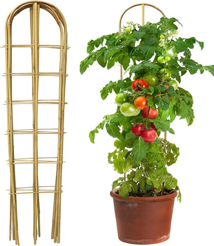 5 Pack 4 Feet U-Shape Bamboo Trellis, Natural Bamboo Trellis for Climbing Plants, Vegetables, Cucumber, Tomato, Outdoor and Indoor Potted Plants