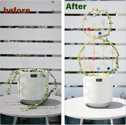 2PCS Hoya Trellis Plant Support Indoor Metal Frame Unique Trellis for Climbing Plants Potted Hoya Pots Small Houseplant Vine Support for Plant Lovers Home Decor