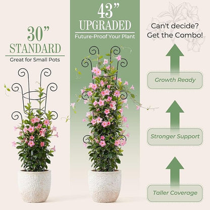 4 Pack 43 Inch Metal Plant Trellis for Climbing Plants - Rustproof Garden Trellis for Large Potted Houseplants, Sturdy Plant Support Indoor Outdoor for Monstera & Vines, Home Decor
