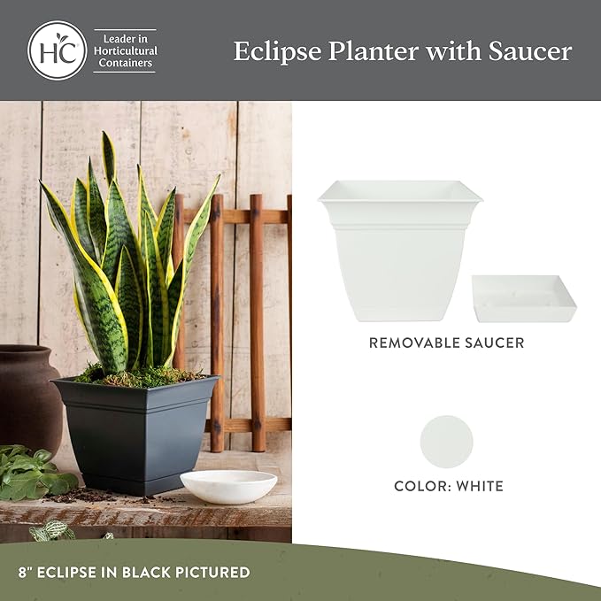 The HC Companies Eclipse Square Plastic Planter w/Attached Saucer - Outdoor & Indoor Plant Pot with Drainage Holes - Lightweight, UV-Resistant Plastic Pots for Plants (6" White, Pack of 1)