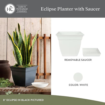 The HC Companies Eclipse Square Plastic Planter w/Attached Saucer - Outdoor & Indoor Plant Pot with Drainage Holes - Lightweight, UV-Resistant Plastic Pots for Plants (6" White, Pack of 1)