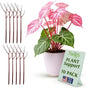 Plant Support Stakes for Indoor & Outdoor Use, Durable Trellis Alternative for Climbing & Potted Plants, Houseplant Stem Holder Structures - Begonia Red, 10 Pack, 22" L, Original