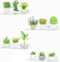Lifewit Window Plant Floating Shelves 14.6x3.6, 4 Pack Acrylic Suction Cup Shelf, Window Sill Extender for Indoor Succulent Plants, Micro Greens, Seed Starter Pots, Herb Planters 37 x 9 cm/14.6x3.6