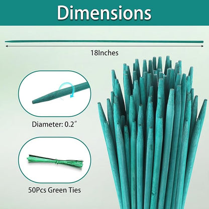 Bamboo Plant Stakes 50PCS, 18Inch Natural Bamboo Garden Stakes, Supports Indoor & Outdoor Plants, Straight Style, Green