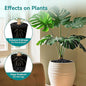 Rocks for Planters in Black, 15 Lbs