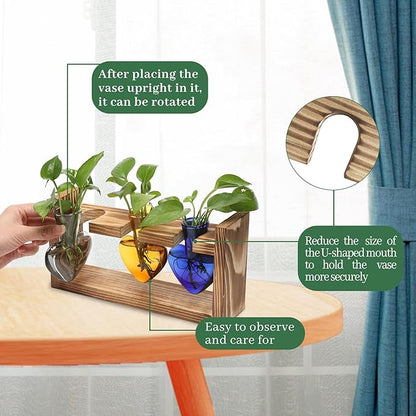 Heart-Shaped Glass Propagation Terrarium Set with Wood Stand