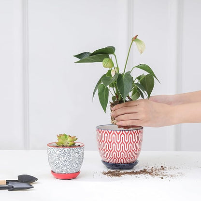 Selamica Ceramic Succulent Pots, 3.5 Inch Small Plant Pots for Indoor Plants Cactus Herbs, Succulent Planters with Drainage Holes & Saucers, Home Decor, Set of 6, Assorted Colors
