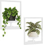 Bamworld White Plant Stand Indoor, Plant Hanger Wall Planters for Indoor Plants Window Plant Shelves Plant Holder Wall Decor, Room Decor (Patent Design)