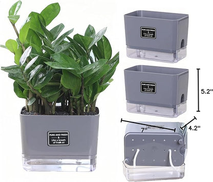 FAMZ Self Watering Pots for Outdoor Plants 4 Pack, Suitable for Indoor and Outdoor Garden Plants and Flowers, Rectangle Planter Box, African Violet Pots, Plant pots, Small Planter (7" Gray)