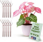 Mini Twigs Plant Support Stakes for Small Plants, Indoor & Outdoor Use, Gardening Supplies, Garden Accessories, Trellis & Ring Alternative, Made in USA - Begonia (Red), 10 Pack, 12" L