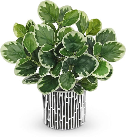 13" Artificial Plants Indoor Small Fake Plant in Ceramic Pot, Silk Plants for Home Decor Indoor, Faux Potted Plant for Shelves, Desks, Home, Room, Office, Bedroom, Farmhouse, Entryway, Tabletop Decor