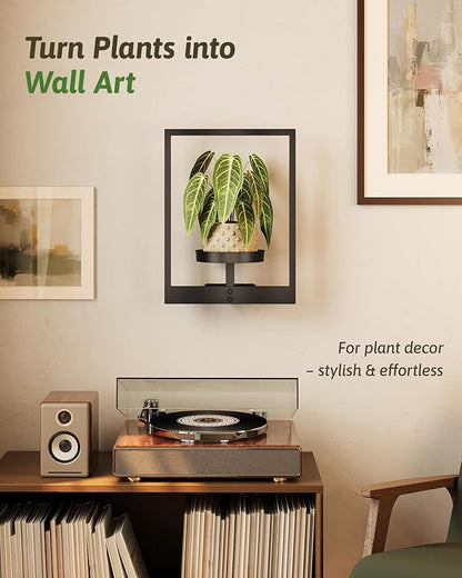 Wall Plant Holder Wall Planters for Indoor Plants Plant Wall Shelf Plant Hanger Indoor Hanging Plant Holder Plant Wall Hanger for Living Room Window Balcony