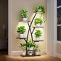 Plant Stand With Grow Lights - 7 Tiered Corner Shelf for Multiple Plants, 42" Metal Shelves, Flower Holder Display Rack for Indoor Home Patio Balcony