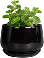 G EPGardening Small Ceramic Planter - 4 Inch Succulent Pots with Drainage Hole & Sacuer, Flower Pots for Indoor Outdoor Plants, Modern Decorative Round Planter, Room Decor, House Warming Gifts, Black