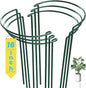 6-Pack Snake Plant Support Stakes, Half-Round Peony Cages and Supports, Green Plant Support Ring - Sturdy and Durable for Indoor and Outdoor Potted Plants, Such as Amaryllis, Peony, Hydrangea