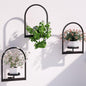 Wall Plant Holder, Wall Planter for Indoor Plants, Window Plant shelves for Multiple Plants Indoor Outdoor, Framed Plant Holder for Home Decor (3 Pack)