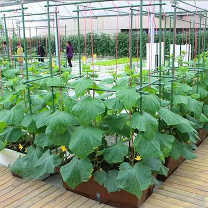 6Ft 72inch Garden Stakes Sturdy Plant Sticks Support Tomato Stakes for Vegetable,Pack of 20