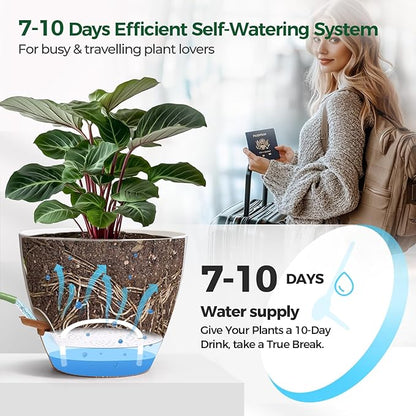 T4U 4 Pack 6 Inch Self Watering Pots - Water Level Indicator & Deep Reservoir, Mess-Free Planter for Busy People, Beginners & Gardeners, Fit Herbs/Pothos/Succulents Plants, Indoor Outdoor Use (White)