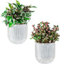 Melphoe Self Watering Pots for Indoor Plants Planter, 5.3 Inch 2 Pack Planters Self Watering Plant Pots for Flower, Houseplants, Succulent, African Violets and Cactus with Drainage