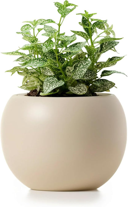 Ceramic Self Watering Plant Pot | 6.8 Inch Pot with 4.5 Inch Inner Pot for Small Plants | Ivory Pot for Indoor Plants | Round Self Watering Planter | Bottom Watering Pots for Indoor Plants