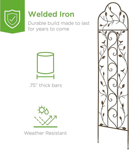 Best Choice Products Set of 2 60x15-inch Iron Arched Garden Trellis w/Branches, Birds for Lawn, Garden, Backyard, Climbing Plants