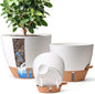 T4U 3 Pack Self Watering Pots (8"+10"+12") - Water Level Indicator & Deep Reservoir, Mess-Free Planters for Busy People, Beginners & Gardeners, Fits Pothos to Monstera, Indoor Outdoor Use (White)
