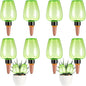 8 Pcs Plant Watering Globes Self Watering Planter Insert Plants Top Fill Water Device Plastic Water Bulbs Slow Release Terracotta for Plants, Green