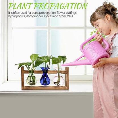 Terrarium Propagation Station with Three Glass Bulbs and Wooden Stand