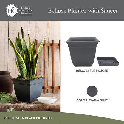 The HC Companies Eclipse Square Plastic Planter w/ Attached Saucer - Outdoor & Indoor Plant Pot with Drainage Holes - Lightweight, UV-Resistant Plastic Pots For Plants (6” Warm Gray, Pack Of 1)