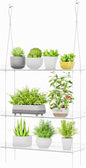 Lifewit 3-Tier Window Plant Shelves 15", Acrylic Adjustable Hanging Floating Shelf, Window Sill Extender for Succulent Plants, Micro Greens, Seed Starter Pots, Herb Planters 38 x 15 cm/15x6