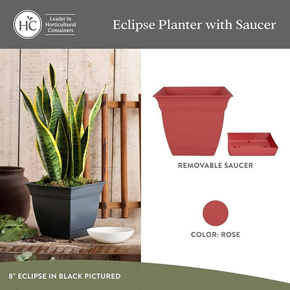 The HC Companies Eclipse Square Plastic Planter w/Attached Saucer - Outdoor & Indoor Plant Pot with Drainage Holes - Lightweight, UV-Resistant Plastic Pots for Plants (6" Rose, Pack of 1)