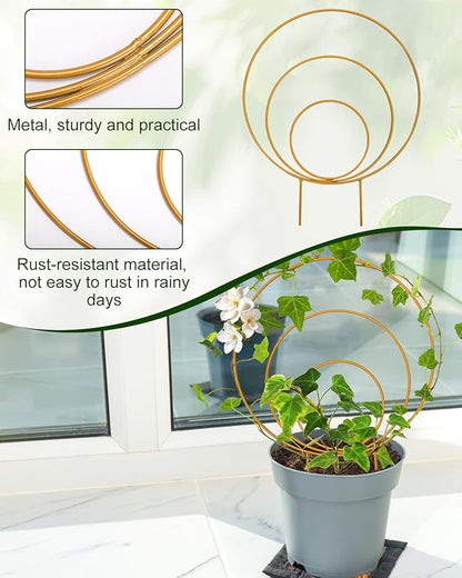 Unique Round Hoya Trellis, 3 Pcs Different Small Houseplant Trellis for Indoor Climbing Plant, Garden Trellis Plant Support for Potted Ivy and Flowers Outdoor(Gold)