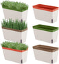 6 Set Window Herb Planter Box Self Watering Plant Pots 10.6 Inch Rectangular Herb Pots Decorative Garden Flower Box for Indoor, Succulent,Vegetables, Flowers