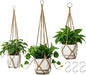 YIBOT 3 Pack Macrame Plant Hanger Indoor Hanging Planter Basket with 3 Hooks, 35"/29"/23" Crochet Plant Holder Stand No Tassels for Indoor Outdoor Boho Home Decor, Brown (POTS NOT Included)