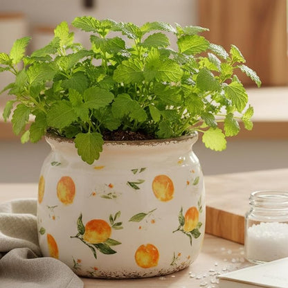 Lemon Summer Decor Plant Pot, 6 Inch Vintage Ceramic Planter with Drainage for Indoor Plants, Rustic Lemons Vase for Centerpieces, Mediterranean Kitchen Home Decor, Yellow Gifts for Gardening