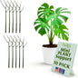 Mini Twigs Plant Support Stakes for Small Plants, Indoor & Outdoor Use, Gardening Supplies, Garden Accessories, Trellis & Ring Alternative - Monstera (Dark Green), 10 Pack, 12" L