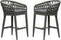 PURPLE LEAF Outdoor Rattan 24" Counter Height Bar Stools Chair Set of 2, Modern Patio Wicker Barstool with Backrest for Indoor and Outdoor, Kitchen Island, Smoke Grey