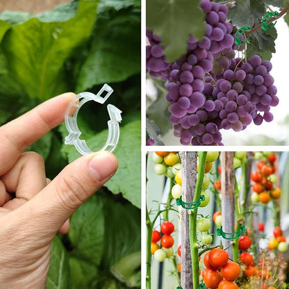 Plant Support Clips, 100 Pcs Tomato Clips, Plastic Trellis Clips, Grape Vine Tomato Vine Vegetables Plants Garden Support Clips to Grow Upright Makes Plants Healthier (Plastic, White)