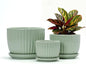 Ton Sin Flower Pots, Light Green Ceramic Plant Pots Set of 3,Small Glazed Succulent Pots with Drainage Hole,Cactus Planter with Saucer,Outdoor Garden Pots (Green)