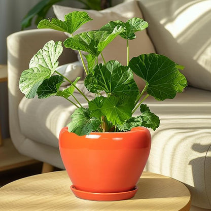 Indoor Plant Pot 8 Inch - Ceramic Plant Pot with Drainage Hole and Saucer, Glaze Decorative Modern Round Planter for Outdoor Plants, Housewarming Gifts, Office Home Garden Decor, Orange
