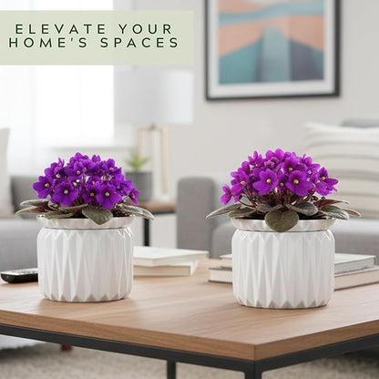 6 Inch African Violet Pots Self Watering, Ceramic Planter with Water Reservoir and Fill Lines, 4 Inch Opening, Indoor Flower Pot, Holds 3 Weeks of Water (1 Pack)