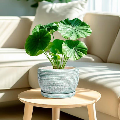 SQOWL Ceramic Planters for Indoor Plants - 8 inch Plant Pot Outdoor, Ceramic Flower Pot with Drainage Hole and Saucer, Round Modern Planter, Living Room Apartment Decor, Birthday Gifts, Green
