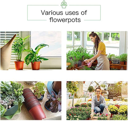 JERIA 200 Pack 6 Inch Plastic Nursery Pots Comewith Drainage Holes, Seedling Flower Plant Container and Seed Starting Pots with 200 Pcs Labels
